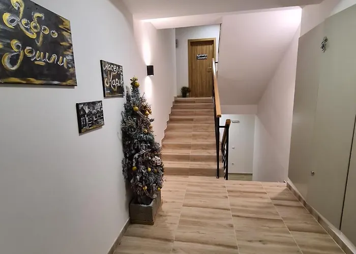 Moni Lux 즐라티보